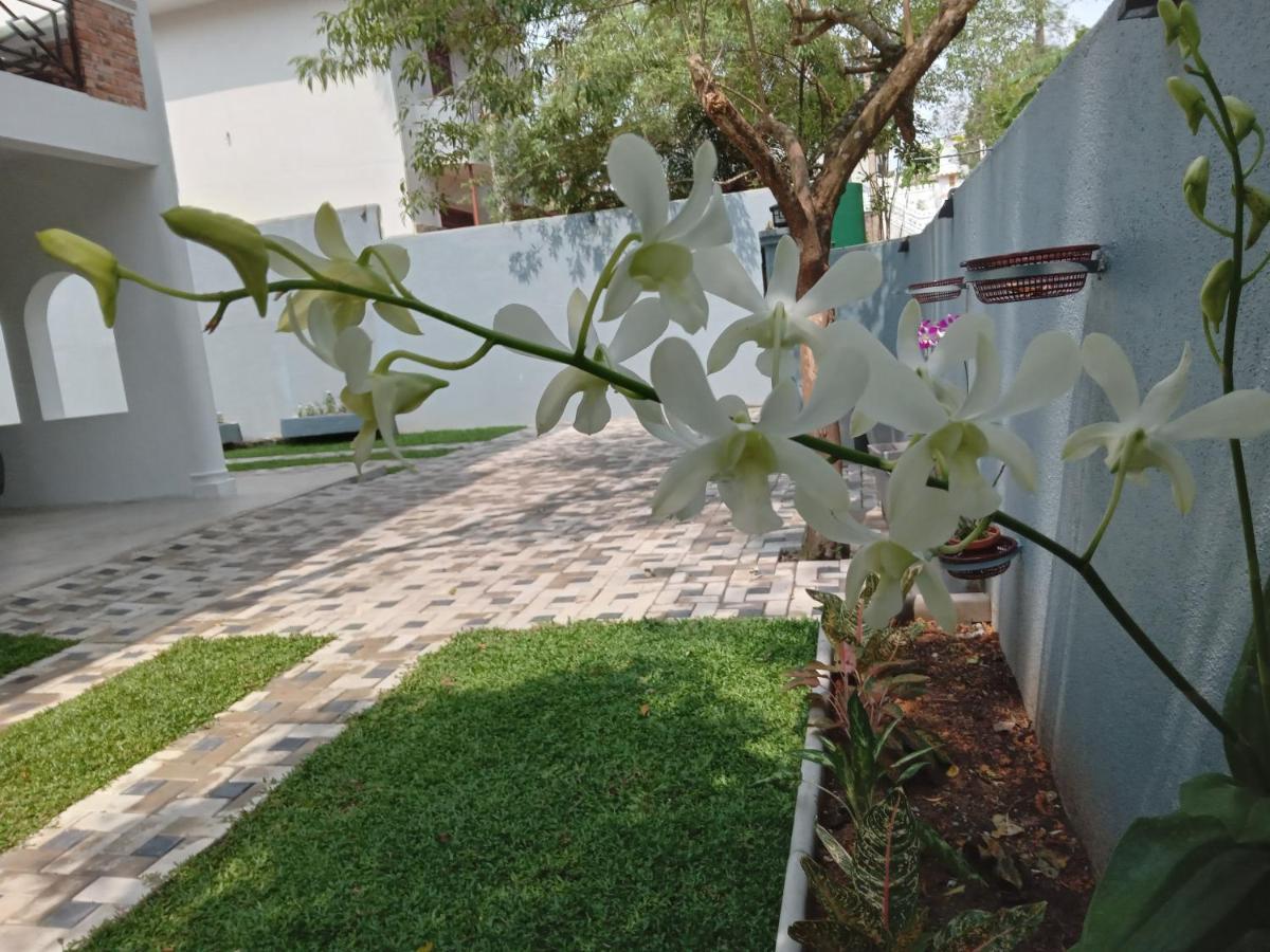 Bed and Breakfast Sky Bloom Homagama Exterior foto