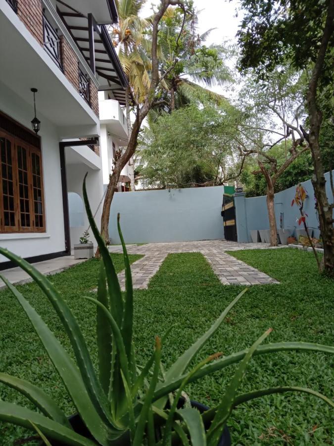 Bed and Breakfast Sky Bloom Homagama Exterior foto